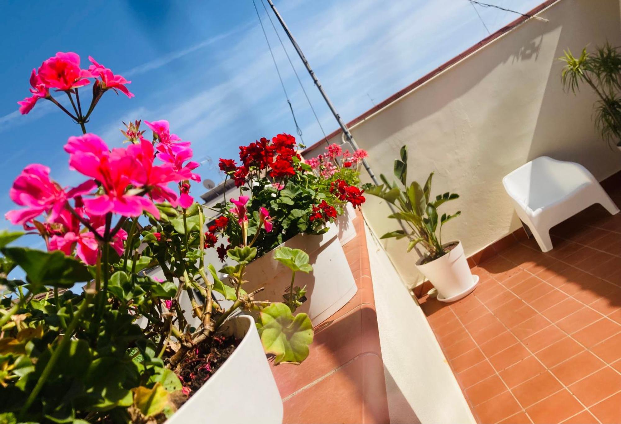 Lavica Di Mezzo Apartments Catânia Exterior foto